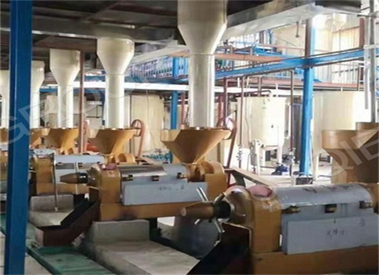 mini sesame oil mill extraction machine project