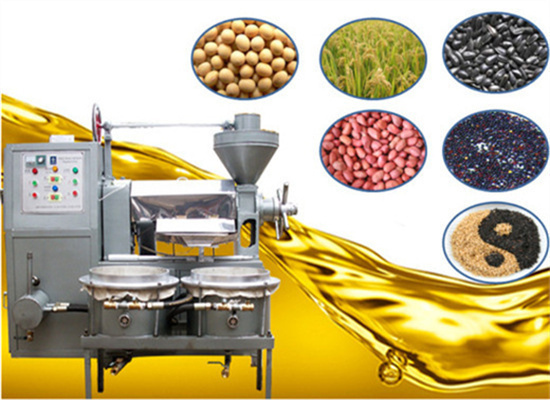 premium screw oil press making plant at low price!