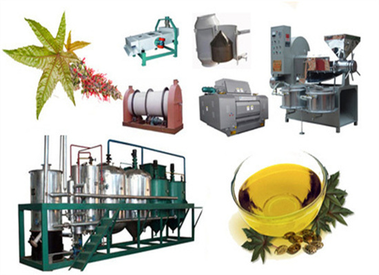 best project plan for vegetable oil production in malaysia