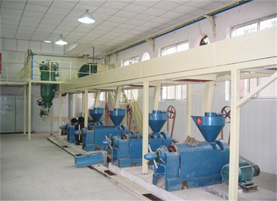 oil line equipment for oil extraction oil press in rwanda