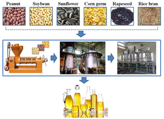 extraction project for pumpkin seeds oil making miller