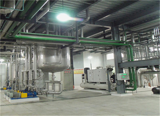 50tpd pumpkin seeds oil press plant in turkmenistan