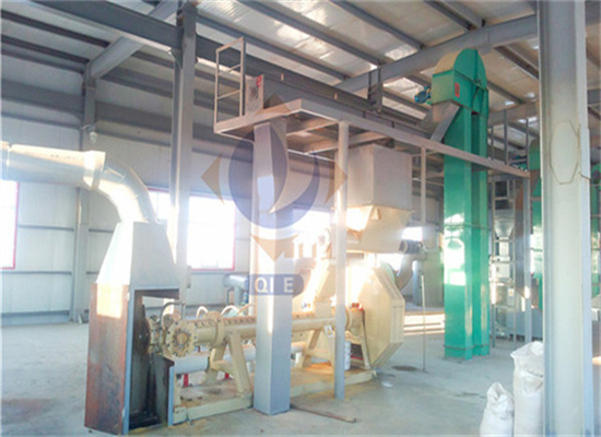 turnkey project pumpkin seed oil mill for edible oil