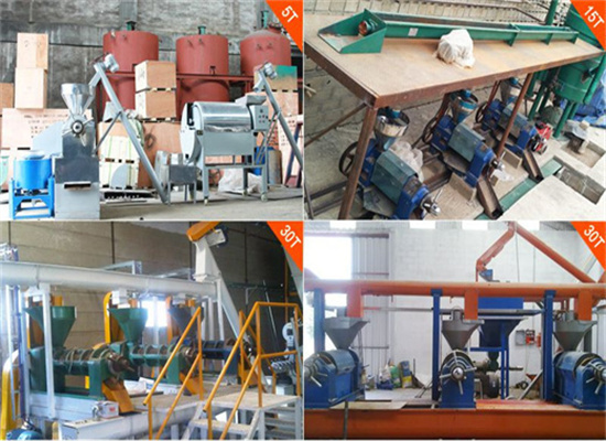 screw oil press small oil press oil press line in malaysia