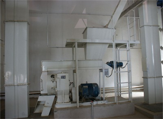 well known screw oil press to process all kinds of oil plant