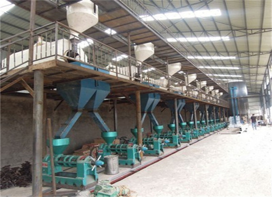 corn germ oil sesame oil production plant in ghana