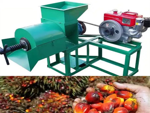 turnkey project of palm oil production line in mozambique