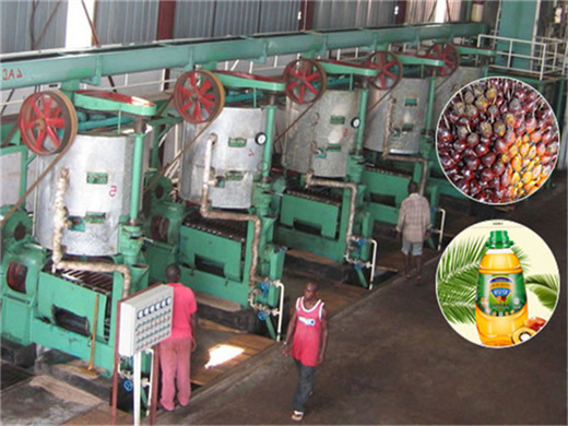 palm oil mill plant edible oil processing machines