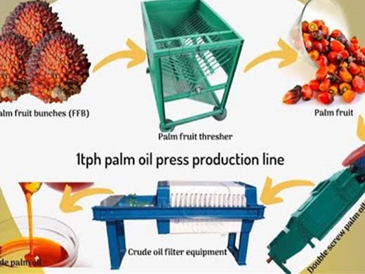 hot sale promotion palm oil process plant  in india